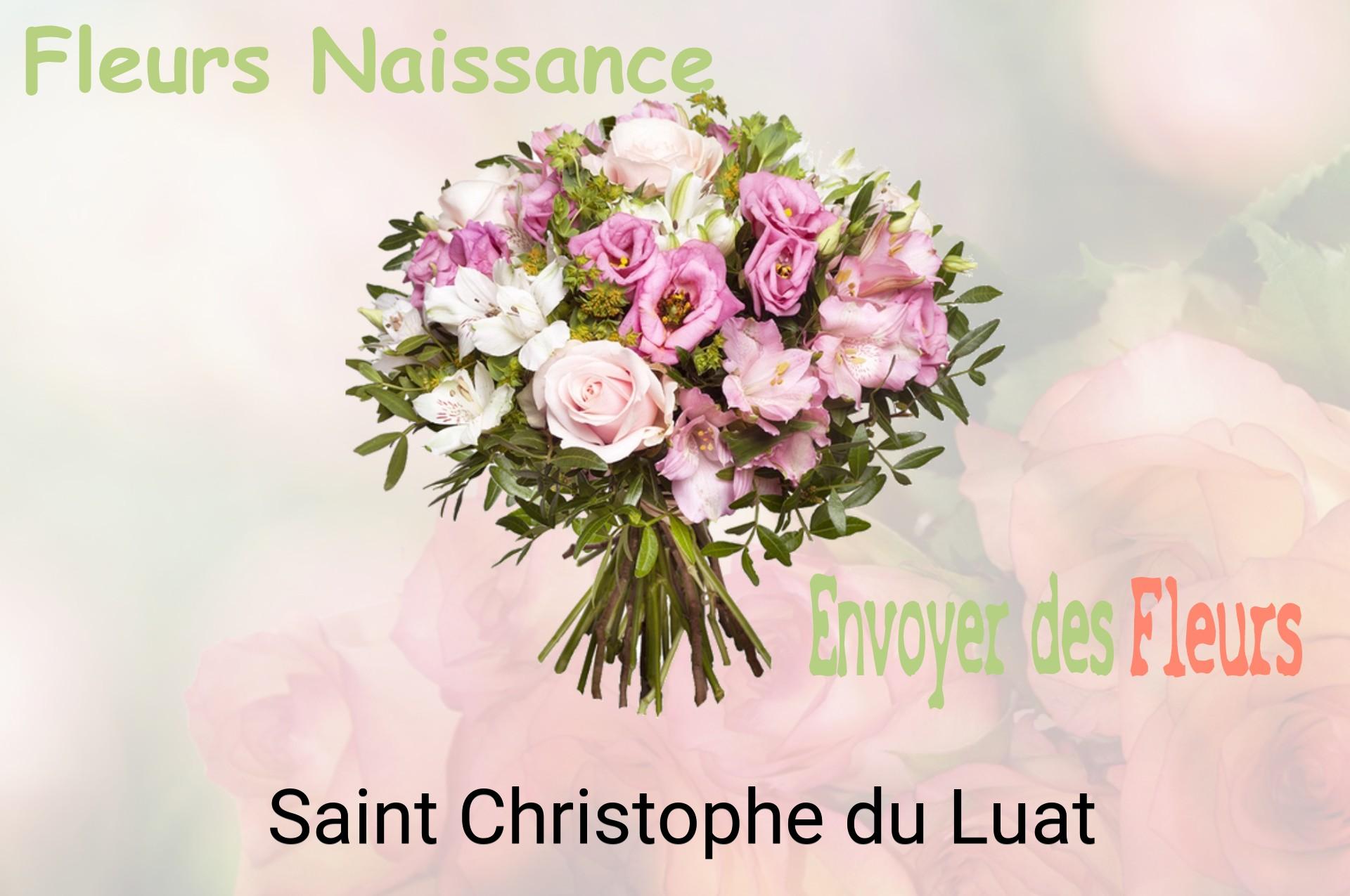 Bouquet de fleurs de naissance livré à Saint-Christophe-du-Luat