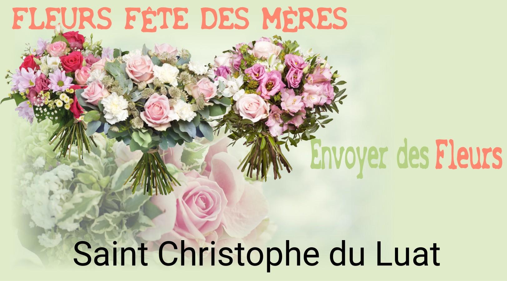 Bouquet de Fête des Mères livré à Saint-Christophe-du-Luat